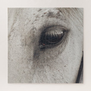 Grey Mare Horse, Up Close Eye Jigsaw Puzzle