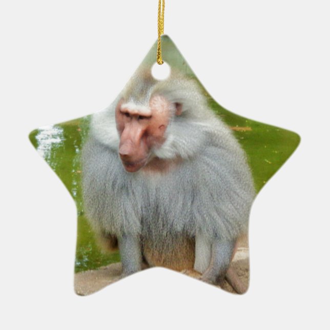 Grey Monkey, Ape Macaque, Nature, Animal Wildlife Ceramic Tree Decoration (Front)