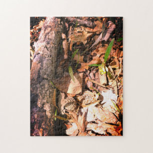 Grey Morel Patch Jigsaw Puzzle