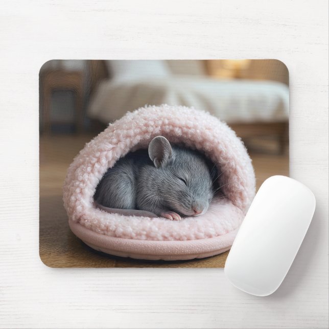 Grey Mouse Sleeping in a Pink Slipper Pad (With Mouse)