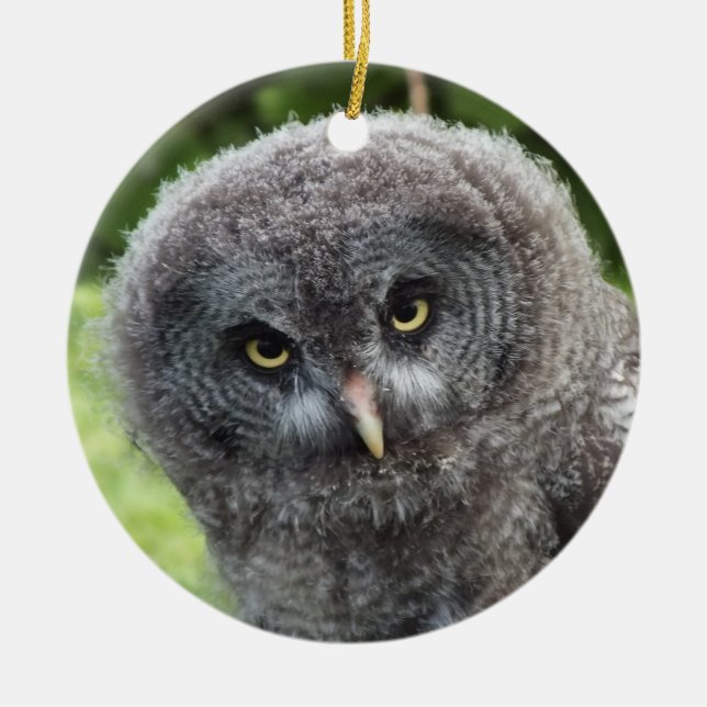 GREY OWL   CERAMIC ORNAMENT (Front)