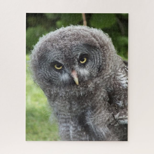 GREY OWL JIGSAW PUZZLE (Vertical)