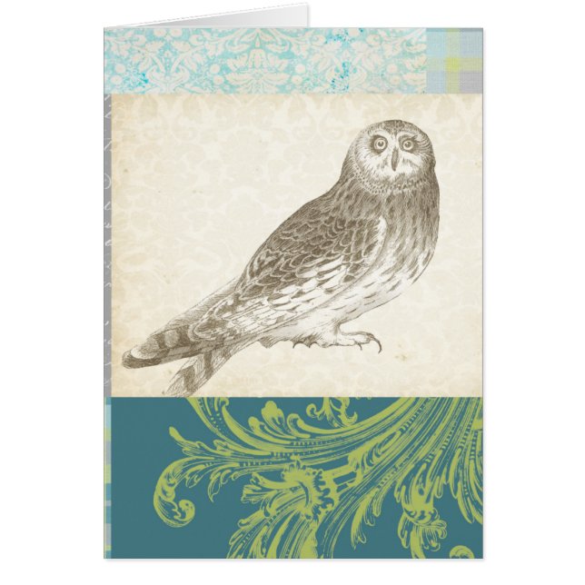 Grey Owl on Pattern Background (Front)