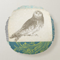 Grey Owl on Pattern Background