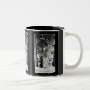 GREY PACK WOLF Collection Two-Tone Coffee Mug