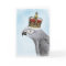Grey Parrot with Royal Crown