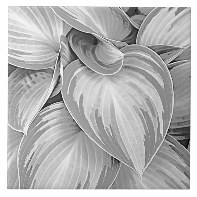 Grey Pattern Leaves Botanical Decorative  Ceramic Tile (Front)