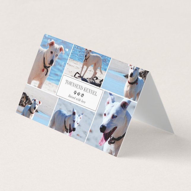 Grey Paw Prints - Photo Collage - Dog Kennel Business Card (Front)