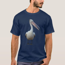 Grey Pelican standing.Isolated on a navy backgroun