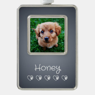 Grey Pet Photo Ornament - Frame, Pet Portrait