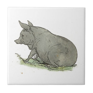 Grey Pig Children’s Book Piggy Farm Animal Art Tile