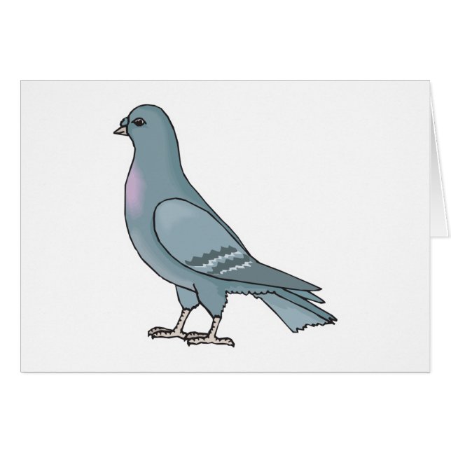 grey pigeon (Front Horizontal)