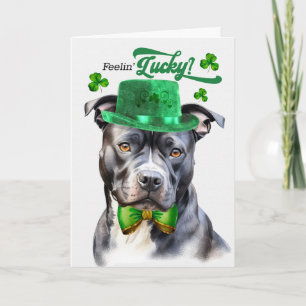 Grey Pit Bull Dog Feelin' Lucky St Patrick's Day Holiday Card