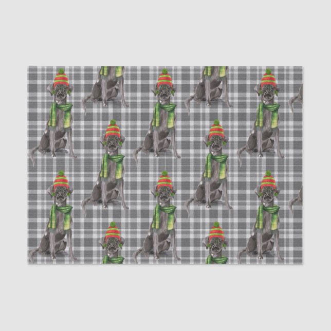 Grey Plaid with a Black Lab Dog Christmas Tissue Paper (Front)