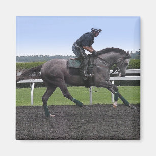 Grey race horse magnet