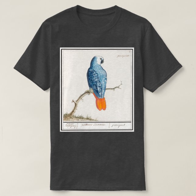 Grey redtailed parrot psittacus erithacus 15961610 T-Shirt (Design Front)