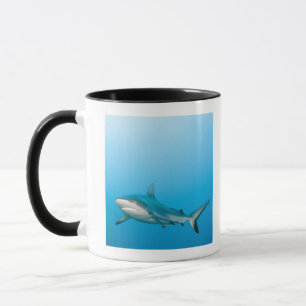 Grey reef sharks (Carcharhinus amblyrhnchos) Mug