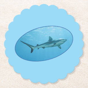Grey Reefshark, Yap Island - Photographic design   Paper Coaster