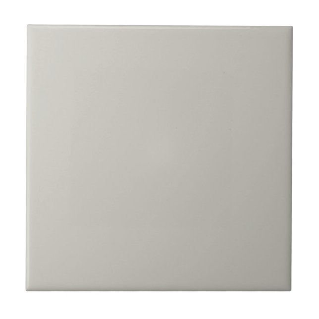 Grey Repose Square Kitchen and Bathroom Ceramic Tile (Front)