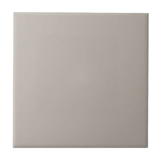 Grey Requisite Grey Square Kitchen and Bathroom Ceramic Tile