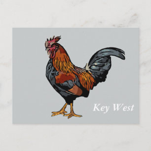 Grey Rooster Key West Post Card