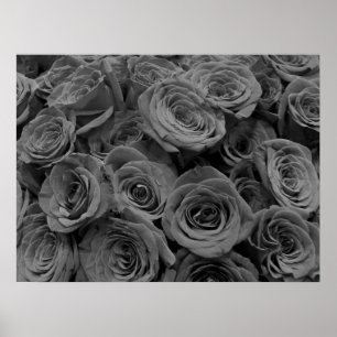 Grey roses, grey floral photo  l poster