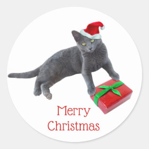 Grey Santa Cat Stickers