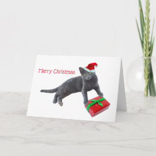 Grey Santa Cat with Present Christmas Card