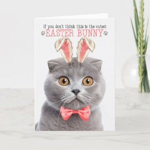 Grey Scottish Fold Cutest Easter Bunny Kitty Puns Holiday Card