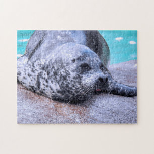 Grey Seal close up, Jigsaw Puzzle