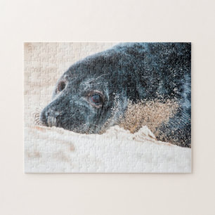 Grey Seal in the sand, Jigsaw Puzzle