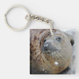 Grey Seal on Ice Key Ring