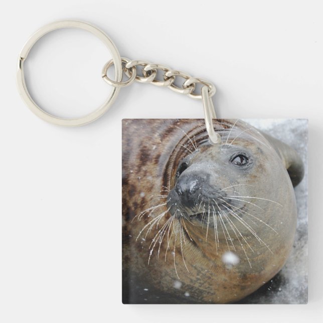 Grey Seal on Ice Key Ring (Front)