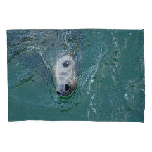 Grey Seal on Mission