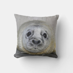 Grey Seal Pup Cushion