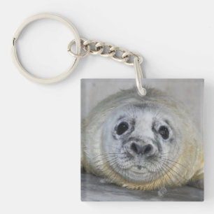 Grey Seal Pup Key Ring