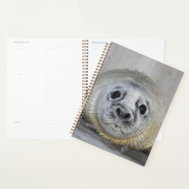 Grey Seal Pup Planner (Display)