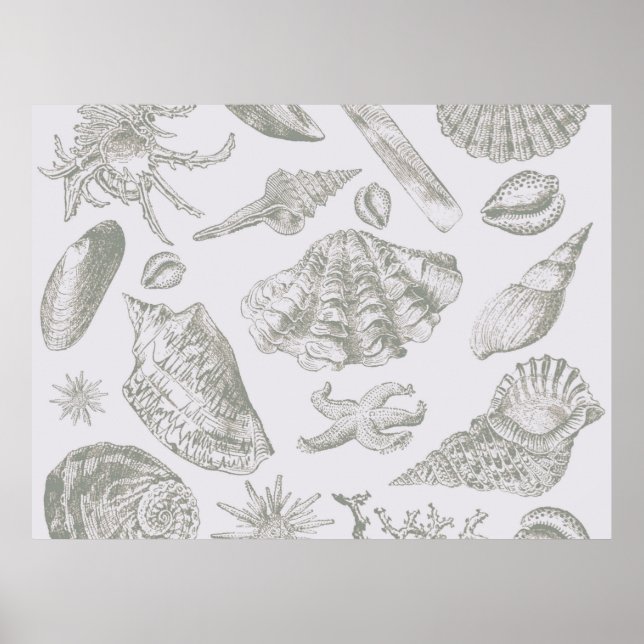 Grey Seashell Art Print Pattern Beachy (Front)