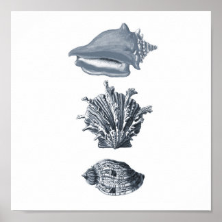 Grey seashells beach decor print #8