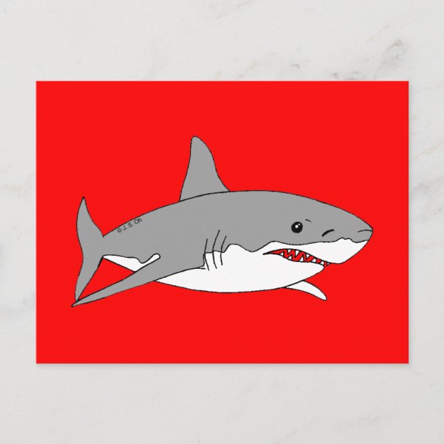 Grey shark postcard (Front)