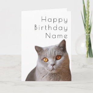 Grey Short Haired Cat Art Deco Birthday Card