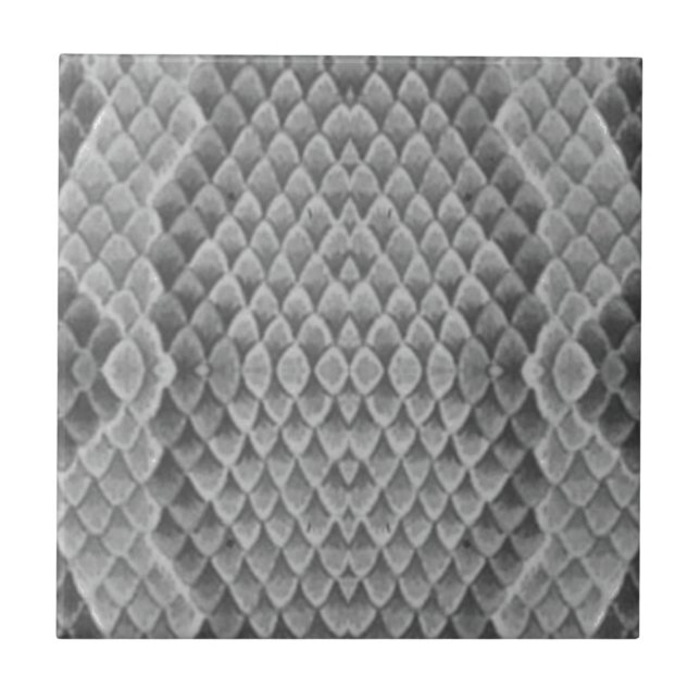 Grey Snakeskin Ceramic Tile (Front)