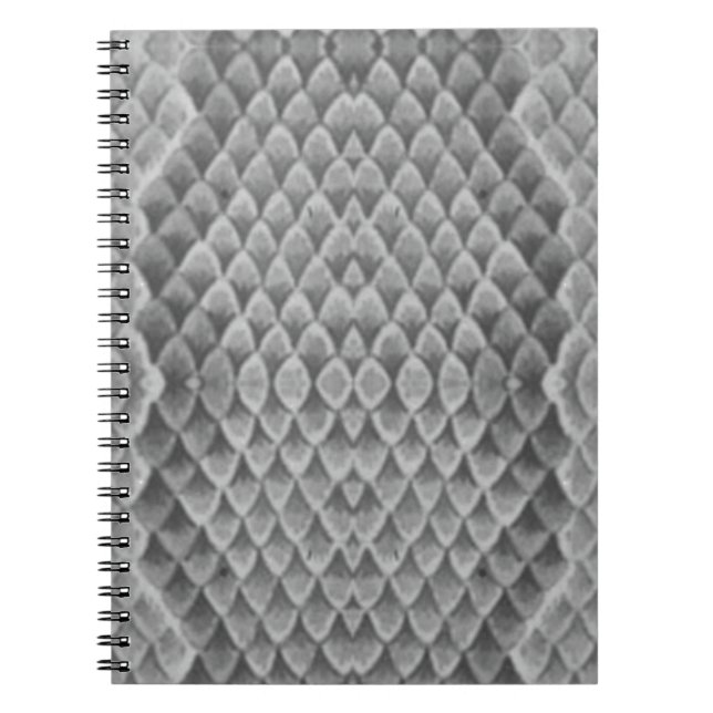 Grey Snakeskin Notebook (Front)