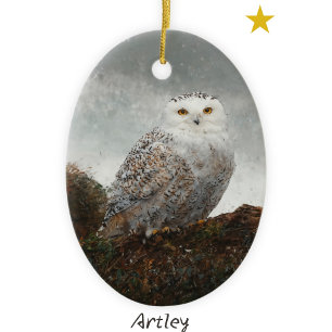 Grey Snowy Owl Bird Painting Year Christmas Ceramic Ornament
