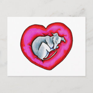 Grey Snuggle Bug Postcard