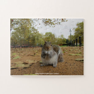 Grey Squirel Hyde Park London Jigsaw Puzzle