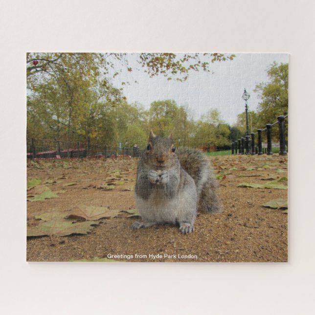 Grey Squirel Hyde Park London Jigsaw Puzzle (Horizontal)