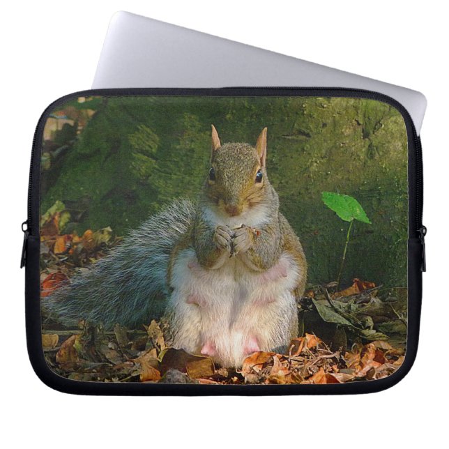 Grey Squirrel 01 Laptop Sleeve (Front)