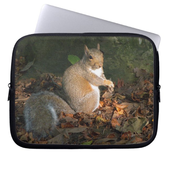 Grey Squirrel 03 Laptop Sleeve (Front)