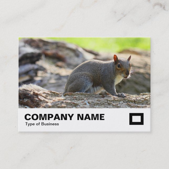 Grey Squirrel Business Card (Front)